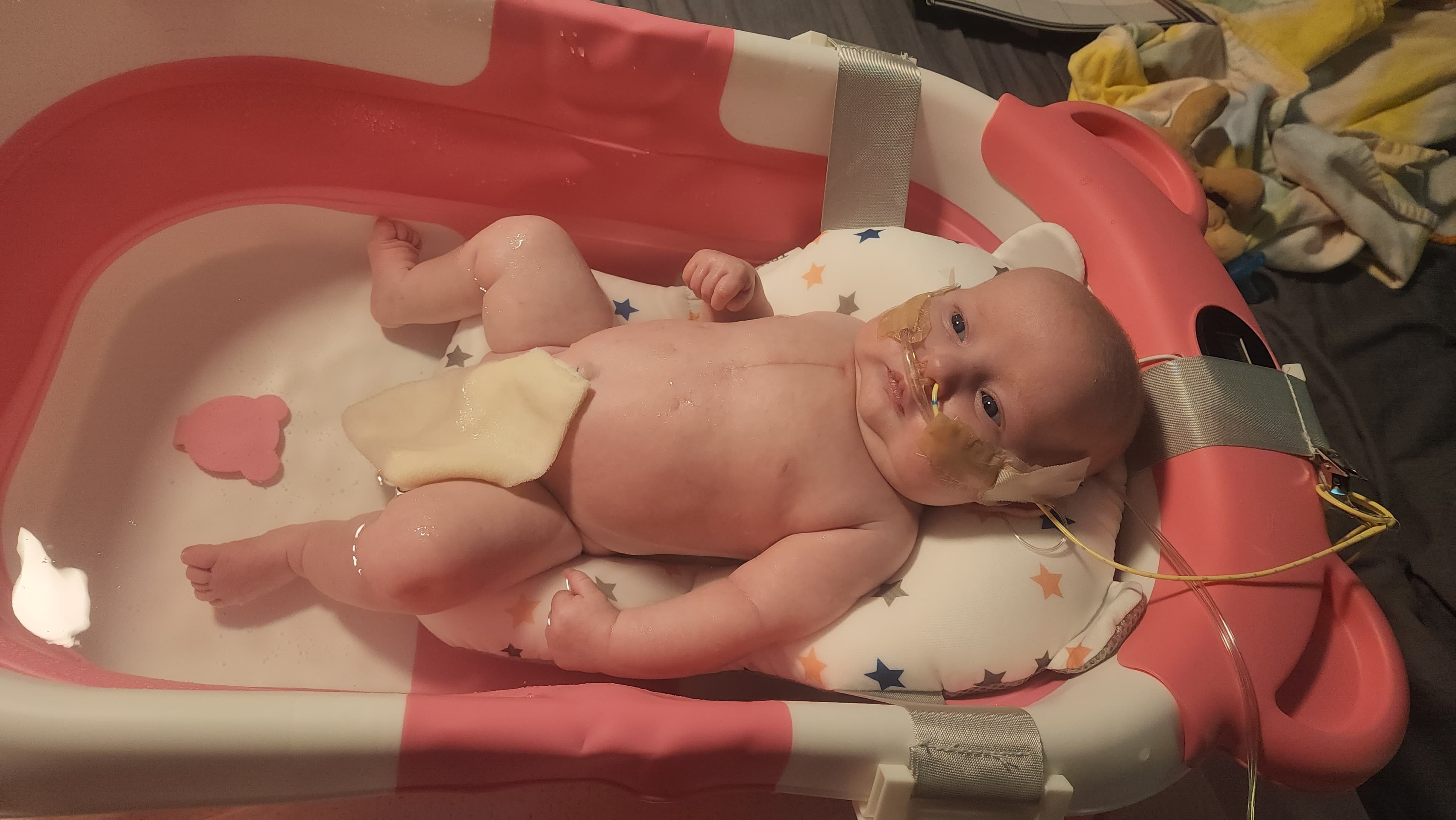 Image from 08/06/2024 Update