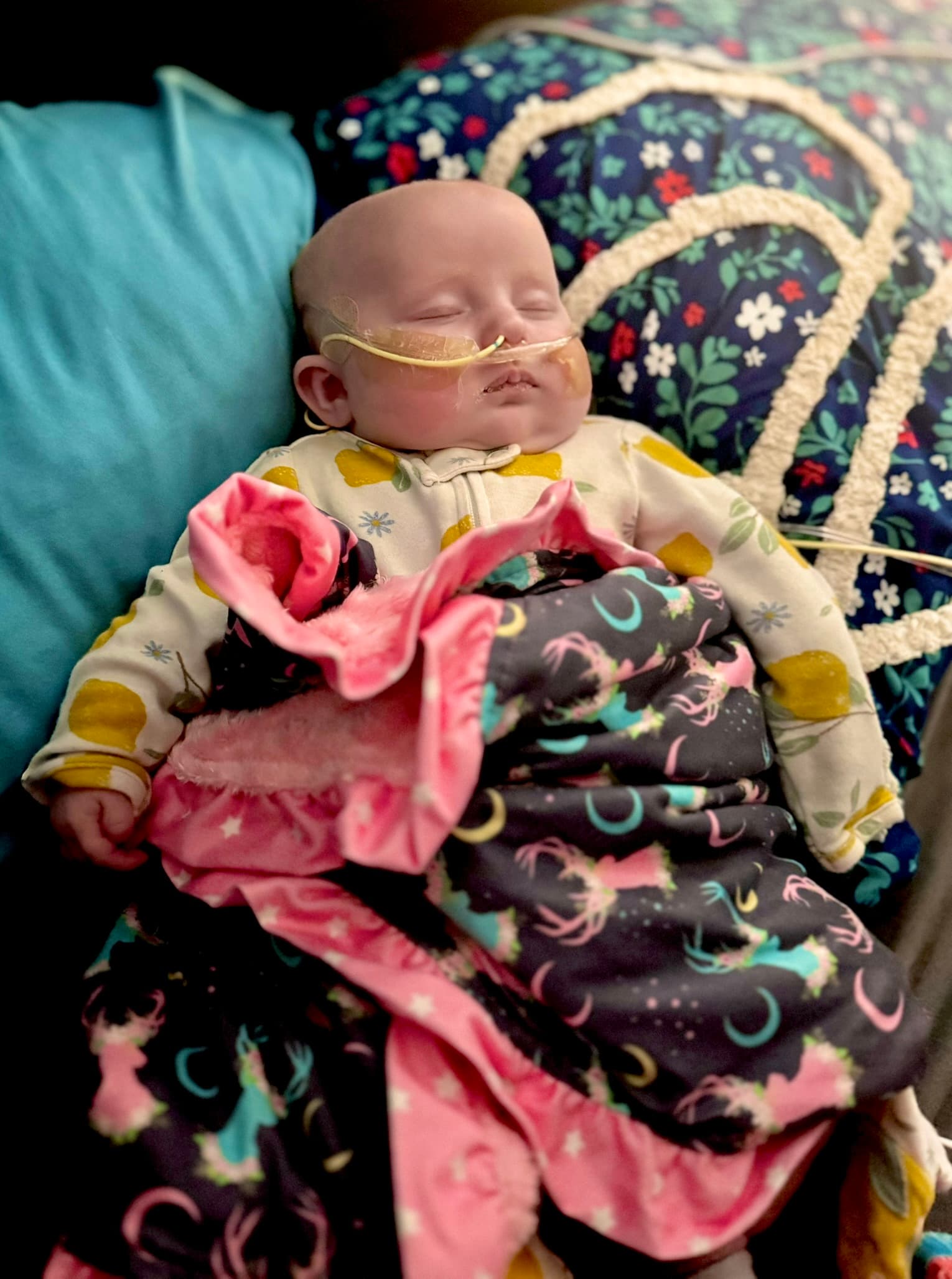 Image from 08/13/2024 Update