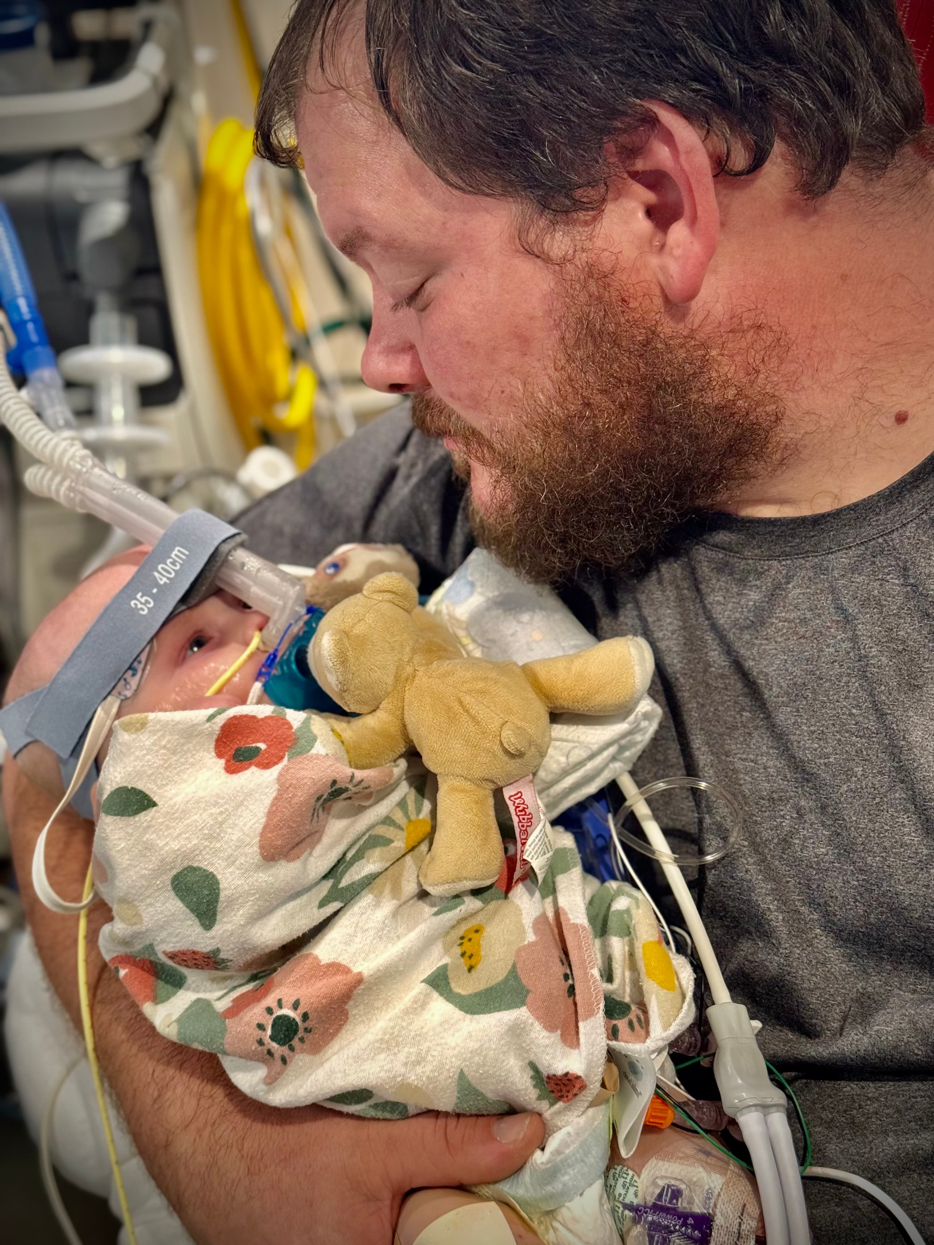 Image from 11/08/2024 Update