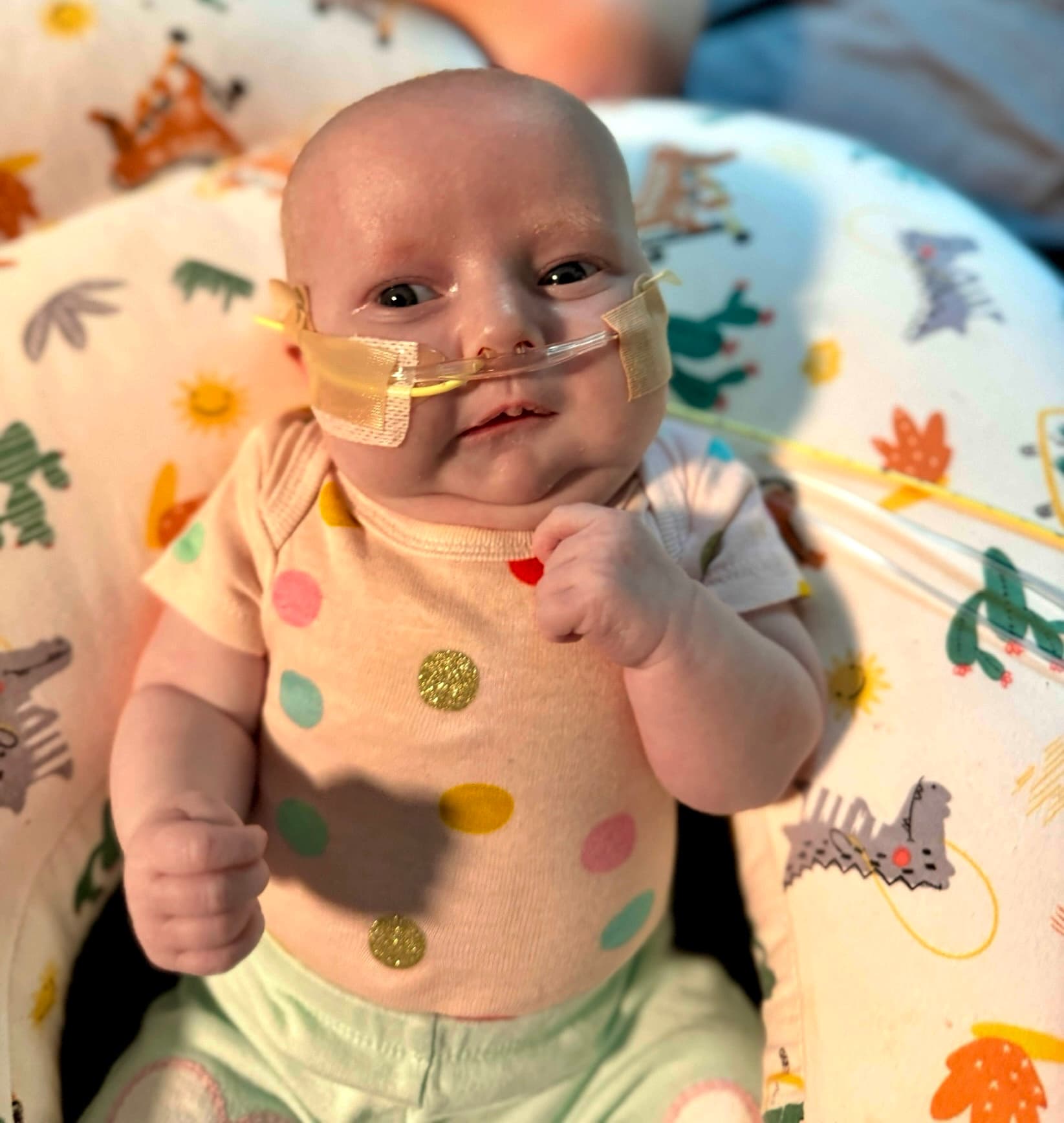 Image from 07/23/2024 Update