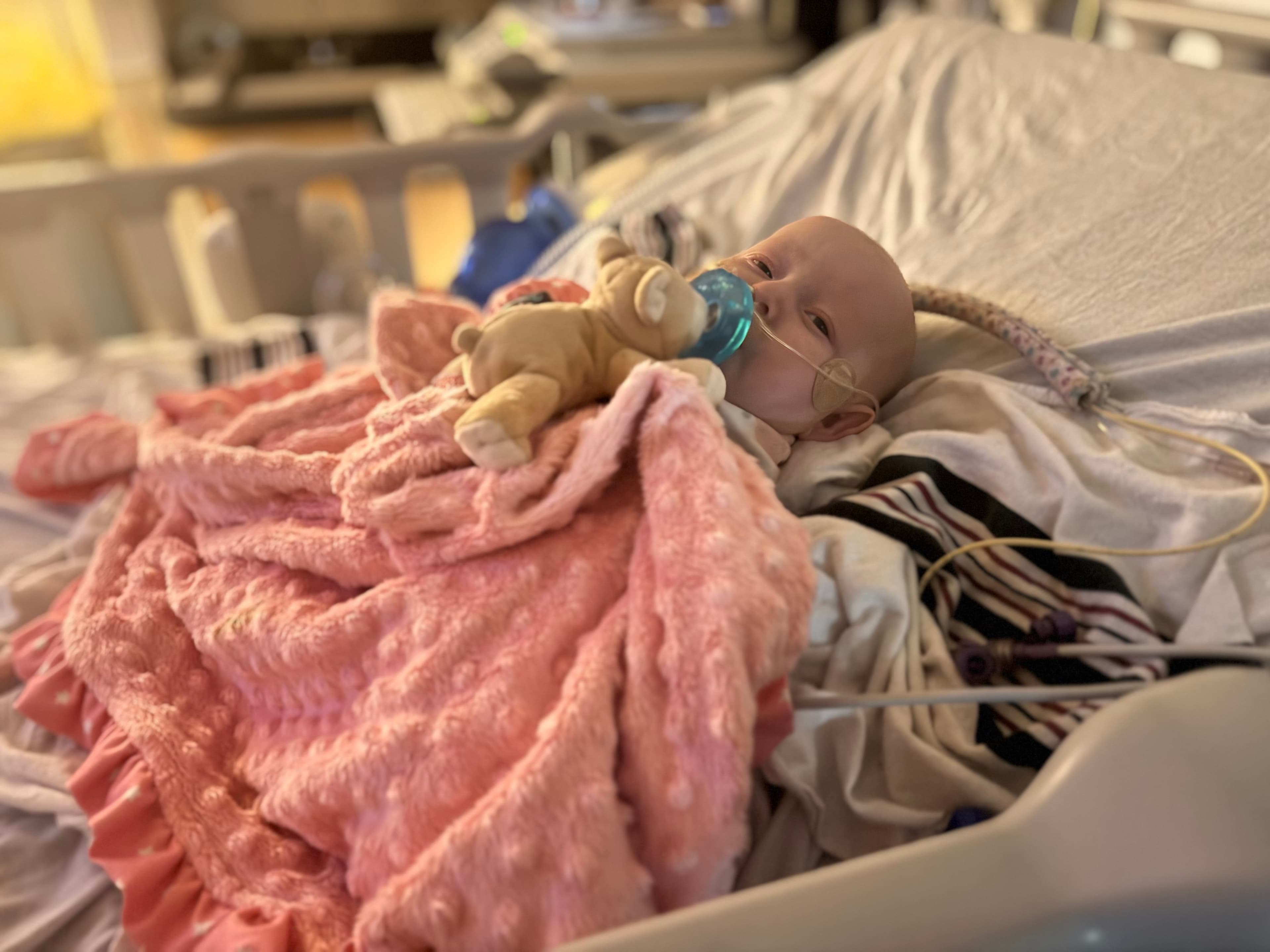 Image from 08/23/2024 Update