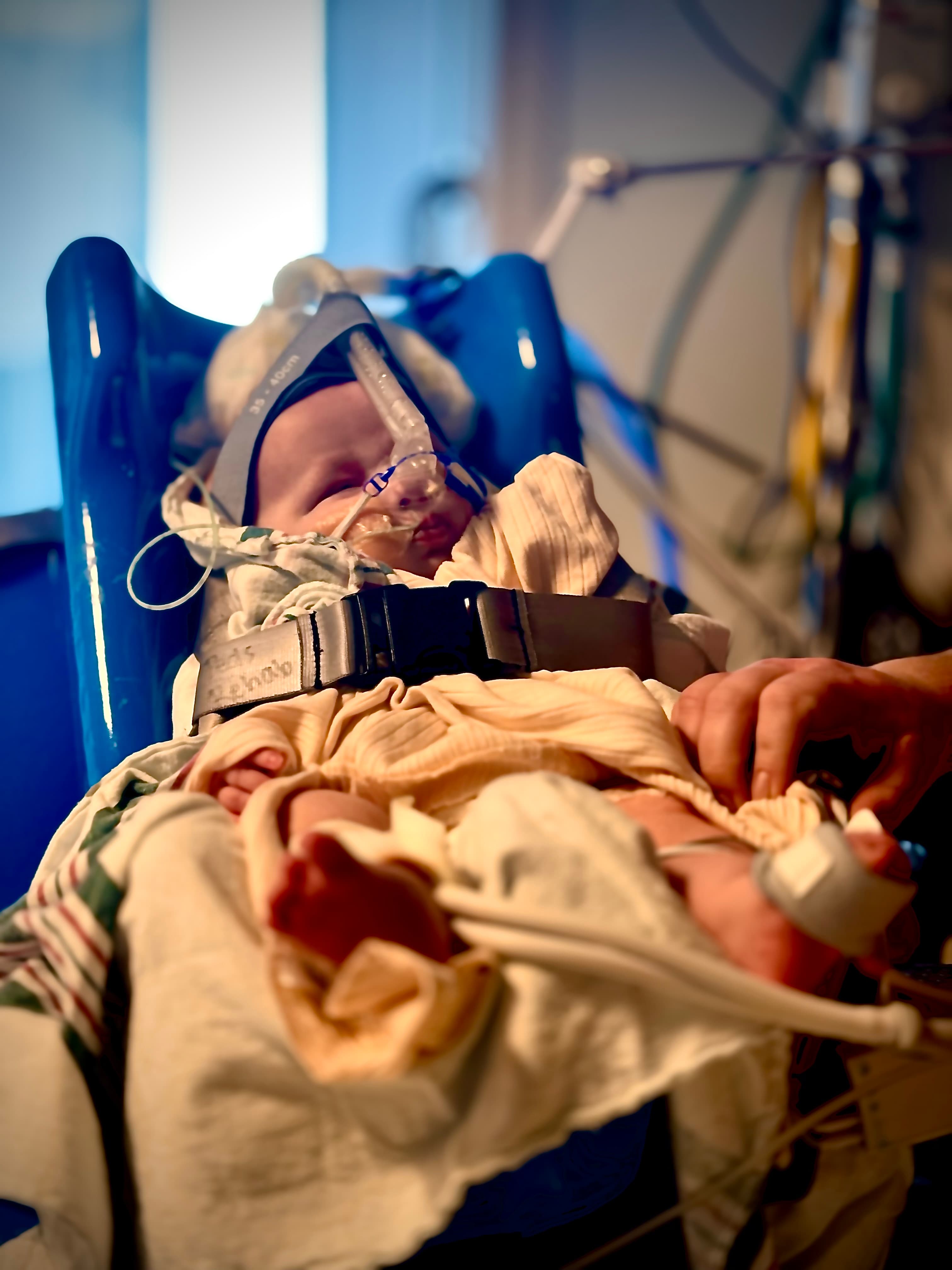 Image from 10/31/2024 Update