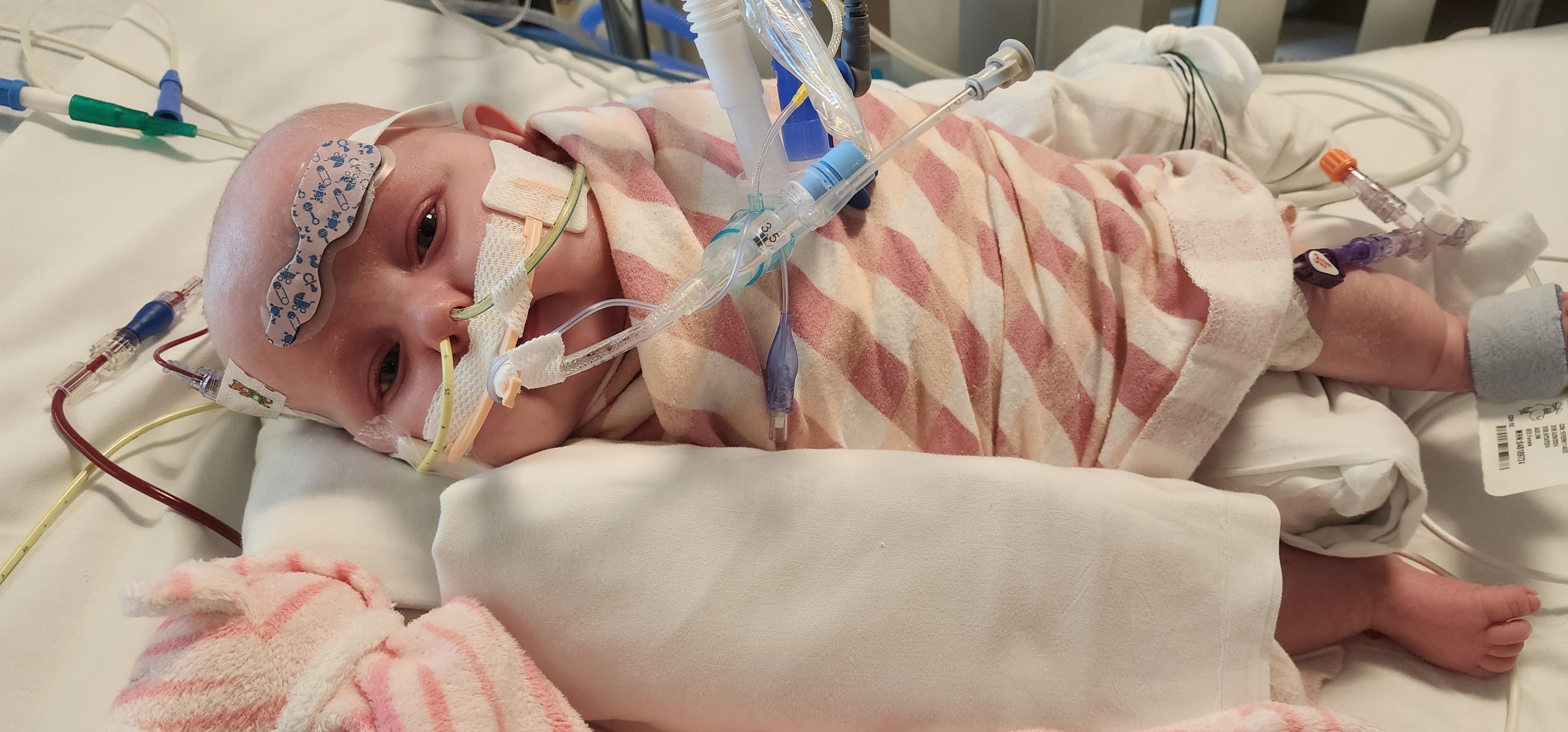 Image from 09/14/2024 Update