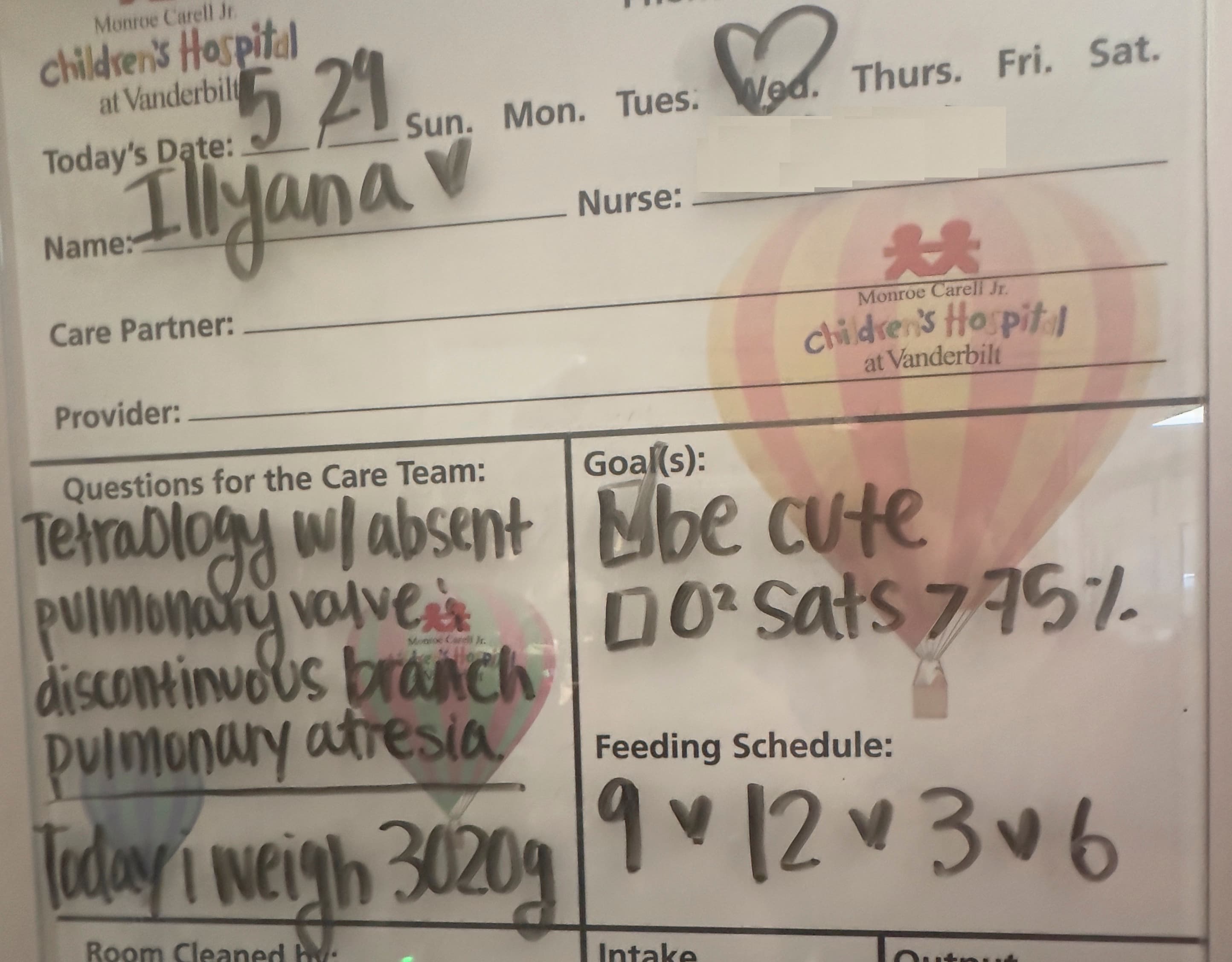 Image from 05/30 Update